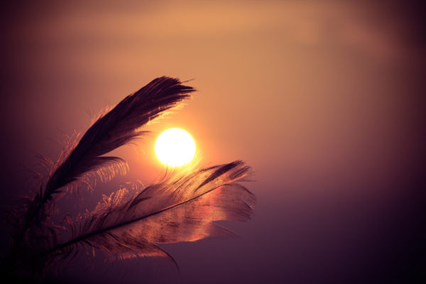Two feathers framing an orange sun.
