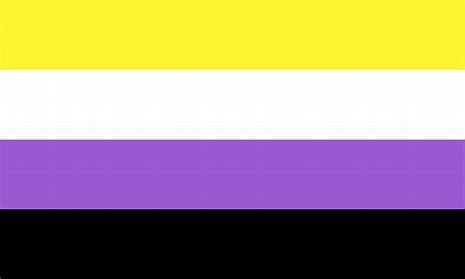 Non binary flag: horizontal bands: yellow, white, purple, and black.