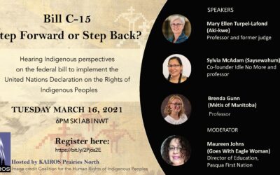 UN Declaration learning event