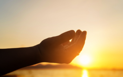 Appeal for Tonga after massive volcanic eruption