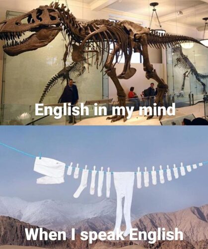A dinosaur skeleton on the top half of the photo with the caption "English in my mind". A washing line with clothes in the shape of a minimalistic dinosaur skeleton captioned "When I speak English".